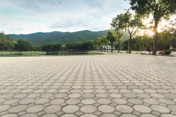 Best Commercial Driveway Pavers  in Manana, HI